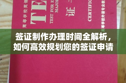 略阳签证制作办理时间全解析，如何高效规划您的签证申请流程