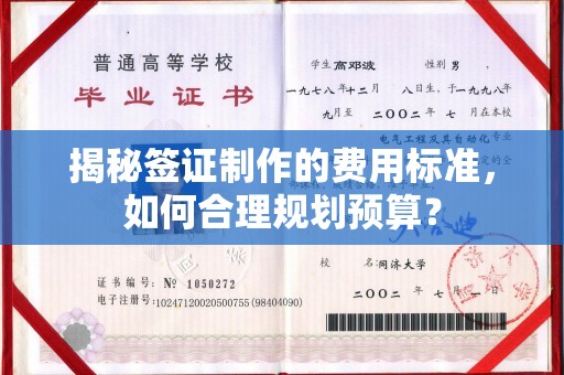 略阳揭秘签证制作的费用标准，如何合理规划预算？