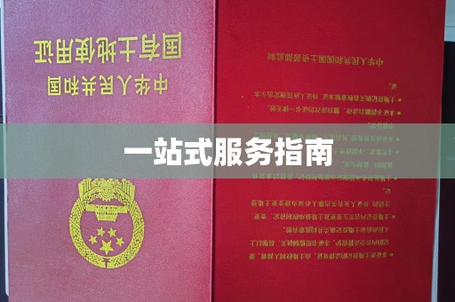 略阳一站式服务指南