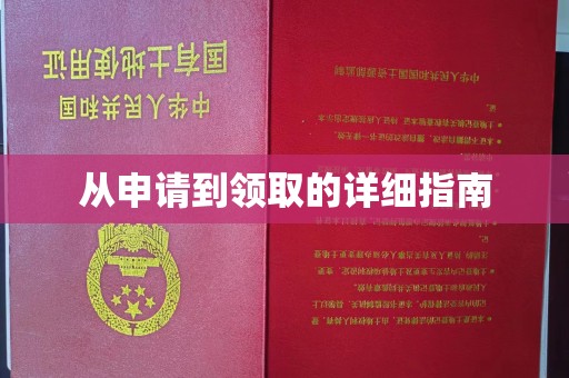 略阳从申请到领取的详细指南
