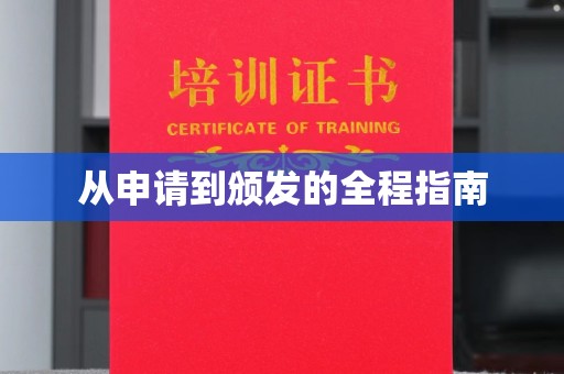 略阳从申请到颁发的全程指南
