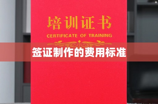 略阳签证制作的费用标准