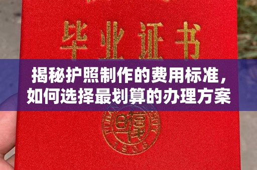 略阳揭秘护照制作的费用标准，如何选择最划算的办理方案？
