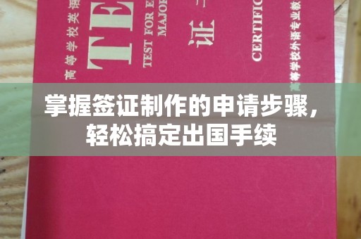 略阳掌握签证制作的申请步骤，轻松搞定出国手续