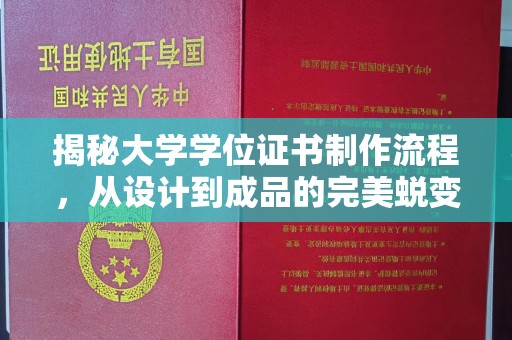 略阳揭秘大学学位证书制作流程，从设计到成品的完美蜕变