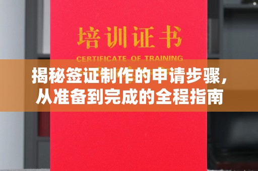 略阳揭秘签证制作的申请步骤，从准备到完成的全程指南