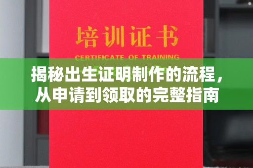 略阳揭秘出生证明制作的流程，从申请到领取的完整指南