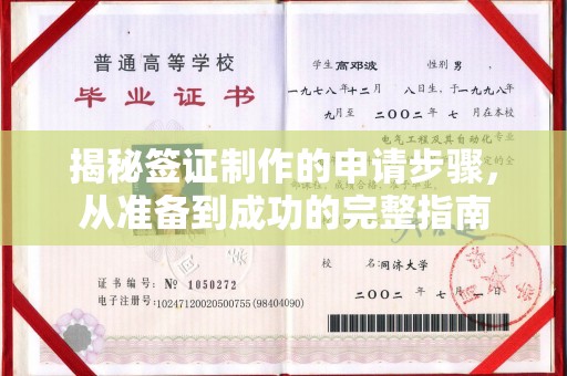 略阳揭秘签证制作的申请步骤，从准备到成功的完整指南