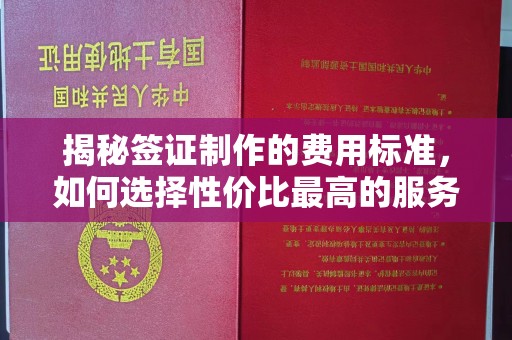 略阳揭秘签证制作的费用标准，如何选择性价比最高的服务？