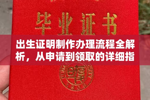 略阳出生证明制作办理流程全解析，从申请到领取的详细指南