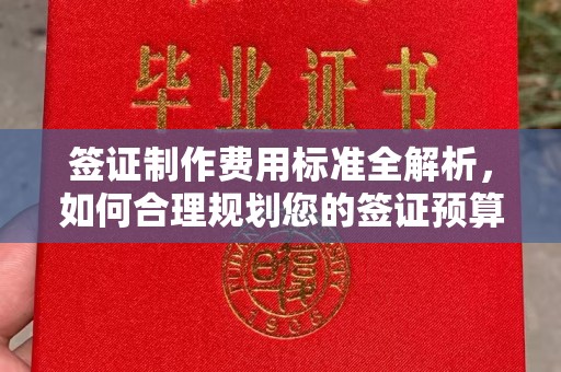 略阳签证制作费用标准全解析，如何合理规划您的签证预算？